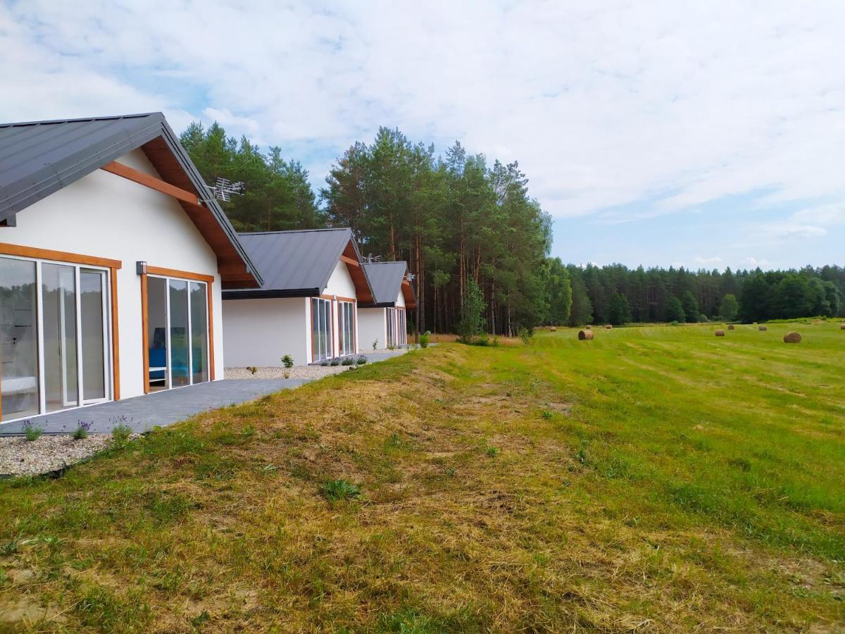 Zurawia Polana Villa Swietajno  Ngoại thất bức ảnh