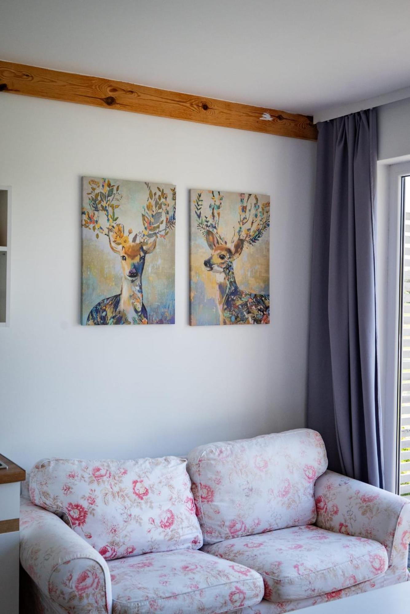 Zurawia Polana Villa Swietajno  Ngoại thất bức ảnh