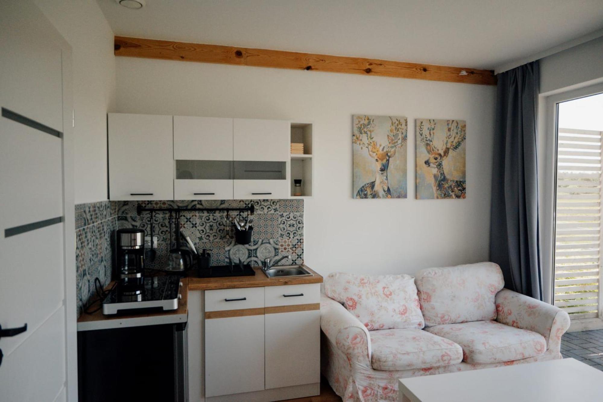 Zurawia Polana Villa Swietajno  Ngoại thất bức ảnh